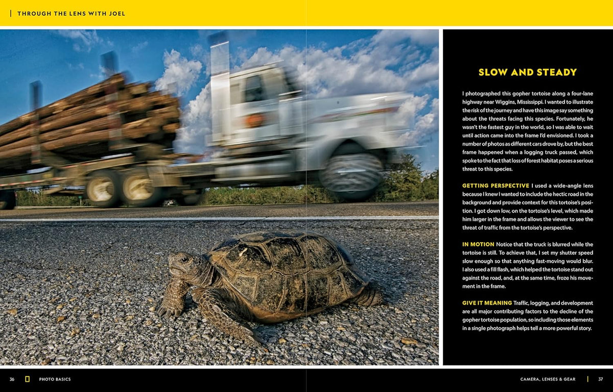 National Geographic Photo Basics: The Ultimate Beginner's Guide to Great Photography