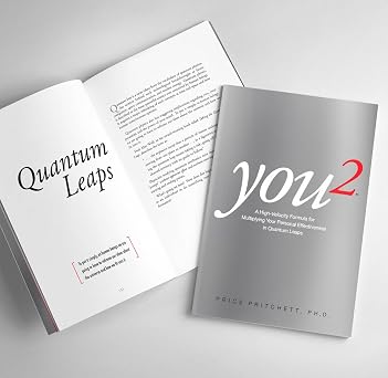 You2: A High Velocity Formula for Multiplying Your Personal Effectiveness in Quantum Leaps