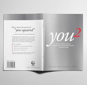 You2: A High Velocity Formula for Multiplying Your Personal Effectiveness in Quantum Leaps